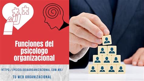 Funciones Del Psic Logo Organizacional Psicolog A Organizacional