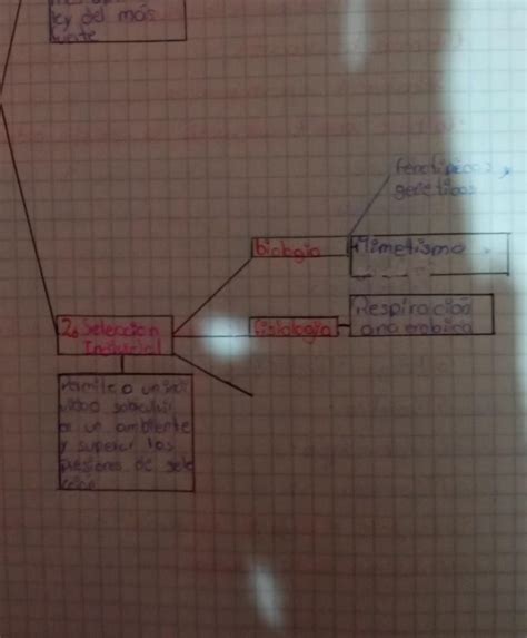 Complete El Siguiente Organizador Grafico Sobre Los Mecanismos De La