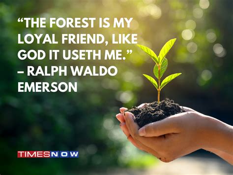 International Day Of Forests 2022 Theme Wishes Quotes Images And