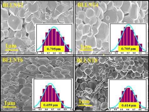 Scanning Electron Microscopy Sem Images And The Inserted Graphs