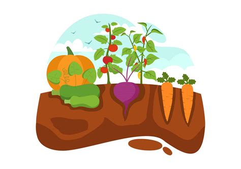 Growing Vegetables Vector Illustration with Harvest, Farming Various
