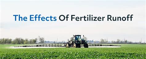 The Effects of Fertilizer Runoff - Multipure