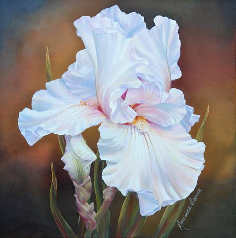 White Iris II - Marianne Broome