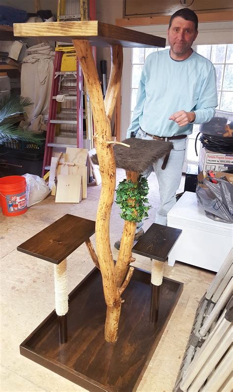 Cat How To Make A Diy Cat Tree Using Real Branches Atelier Yuwa Ciao Jp