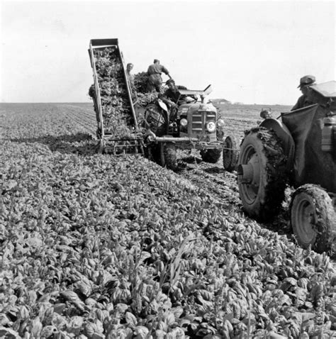 Foto S Uit De Oude Doos Van Historisch Marknesse Ii Agrifoto Nl