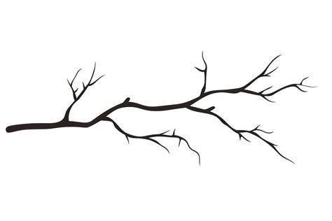 tree branch drawing sketch white | Free Photo Illustration - rawpixel