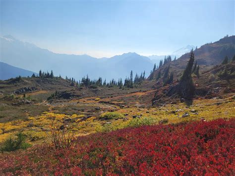 Yellow Aster Butte — Washington Trails Association