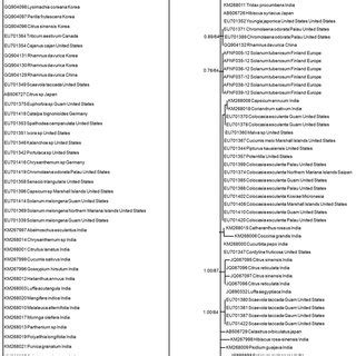 Maximum Likelihood ML Tree Showing Phylogenetic Relationships Among