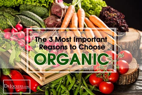 The 3 Most Important Reasons To Eat Organic Eating