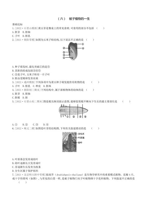 2023年中考生物一轮复习课时训练06 被子植物的一生（北京专用、含答案）21世纪教育网 二一教育