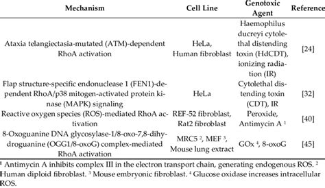 Studies elaborating the mechanisms of Ras homolog gene family member A ...