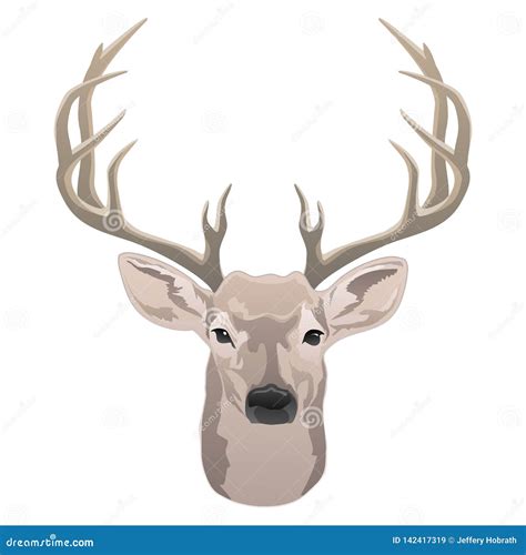 Deer Head Beautiful Buck With Antlers Color Isolated Vector Illustration Stock Vector