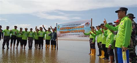 Pelestarian Pantai Teluk Lingga DLH Kutim Inisiasi Penanaman Terumbu