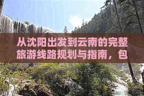 从沈阳出发到云南的完整旅游线路规划与指南，包括交通、住宿、景点推荐等 邮箱网