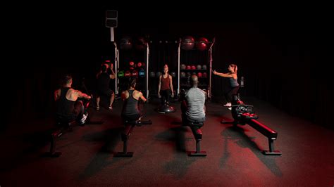 Understanding the Basics of Rowing Technique - Life Fitness NZ