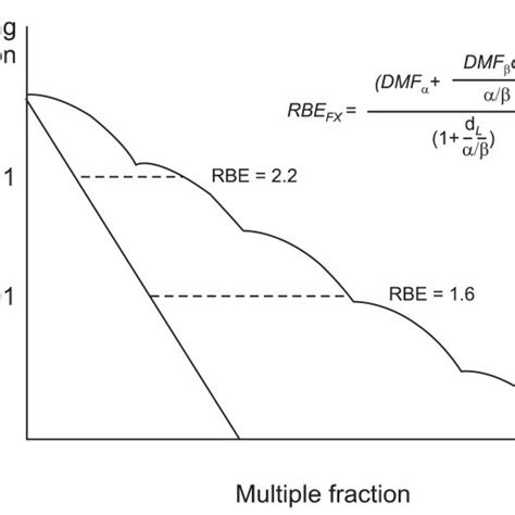 Relative Biological Effectiveness Rbe After Multiple Fractionation