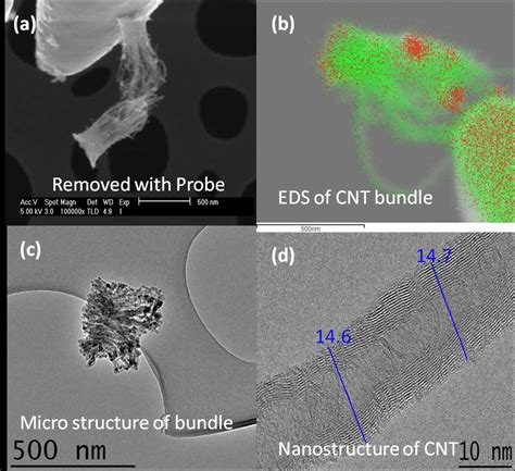 A Sem Image Of Cnt Bufndles From Figure Attached To A W Nanoprobe