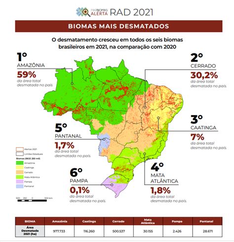 Mapbiomas Desmatamento No Brasil Cresceu Em