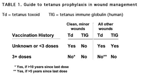 Bites And Tetanus Flashcards Quizlet