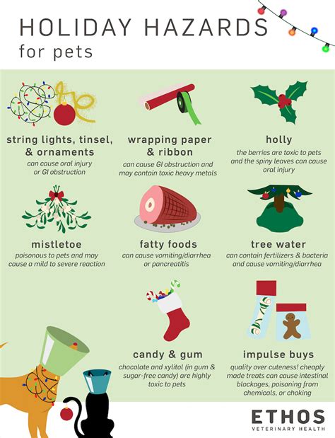 Holiday Hazards For Pets And How To Avoid Them Ethos Veterinary Health