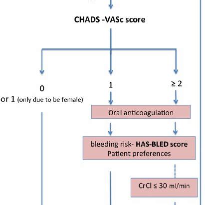 Recommendation on how to switch between different anticoagulant ...