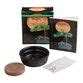 Mini Bonsai Kit - World Market