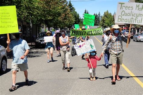 Concern Raised Over Trees To Be Cut At Qualicum Beachs New Public Works Location Parksville