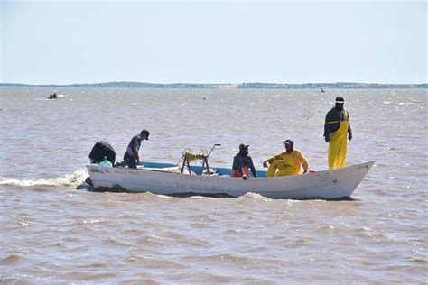 Mala Temporada De Pesca En El Sur De Sonora Michelle Rivera