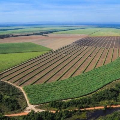 Uisa é a primeira do Brasil a conquistar a certificação regenagri para