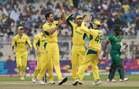 India vs Australia WC final | 'Fresh or old wicket', Starc has his say