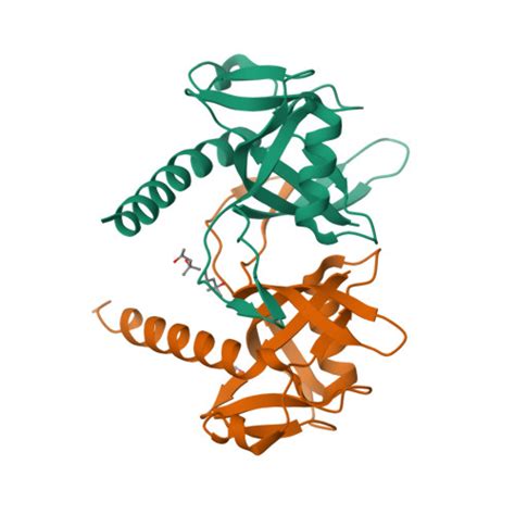 Rcsb Pdb Jrk Crystal Structure Of A Nudix Protein From Pyrobaculum