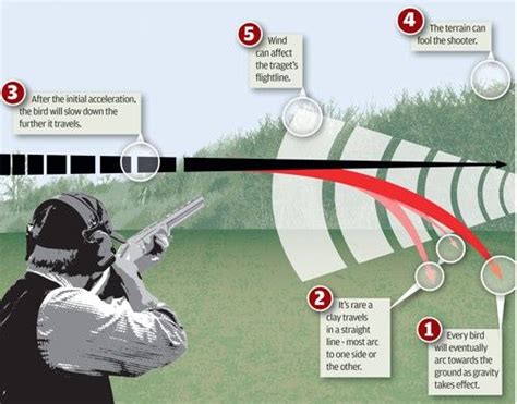 Read The Clay Target Accurately Heres How Top Shots Do It Clay