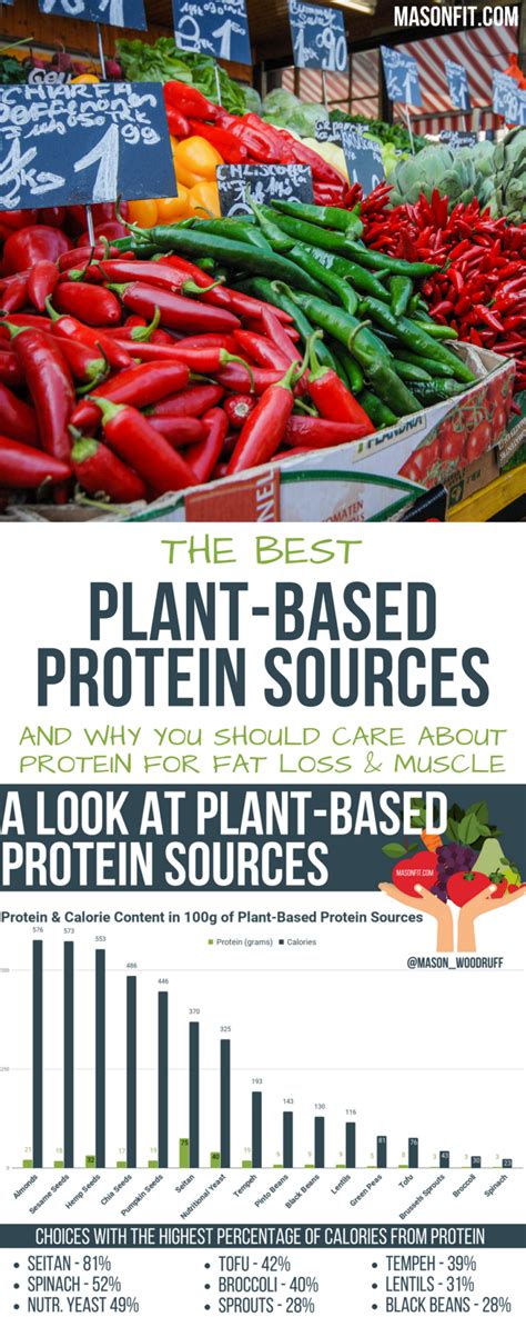 A look at eating enough protein without animal products and the non ...