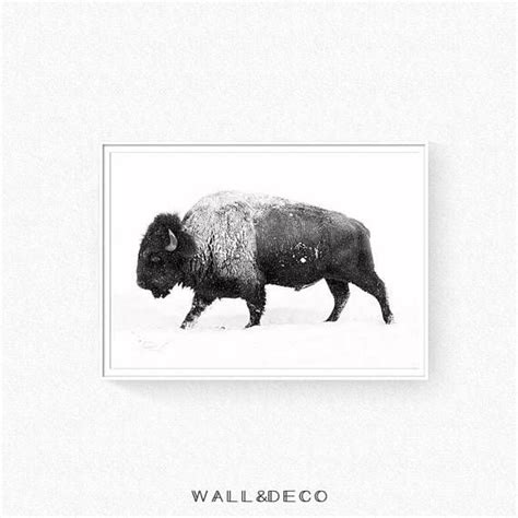 Black And White Buffalo Print Bison Wall Art Digital Etsy Buffalo