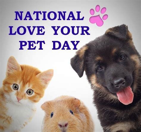 National Love Your Pet Day! - Utica