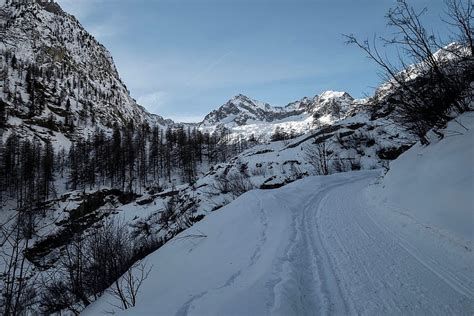 Escursione Con Racchette Da Neve Al Rifugio Casa Savoia M E Al