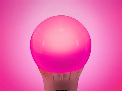 Pink Led A19 Light Bulb 2 Pack