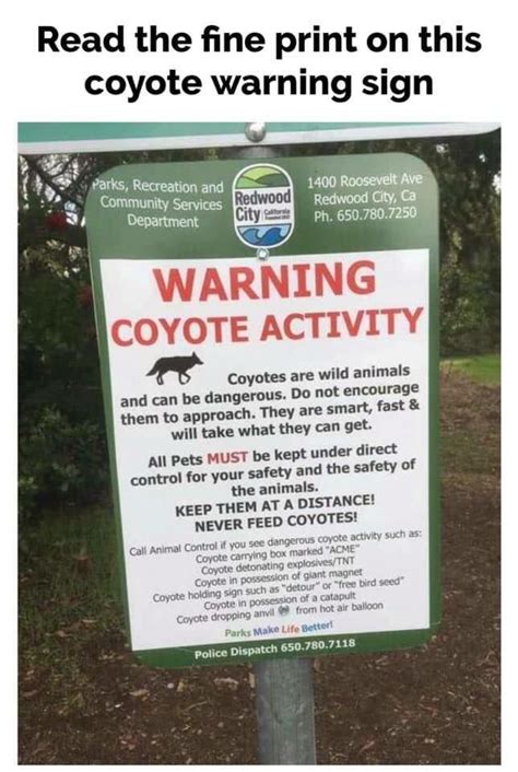 Wile E. Coyote.. - Album on Imgur Top Funny, Funny Posts, Hilarious ...