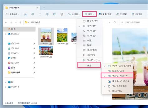 Windows 11 エクスプローラーの画像を大きく表示する方法【プレビューウィンドウの表示手順】 Tanweb