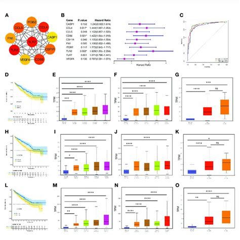 Ccl Serves As An Immune Related Prognostic Biomarker And Is