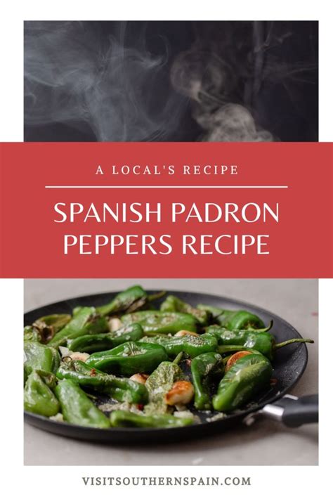 Best Spanish Padron Peppers Recipe - Visit Southern Spain