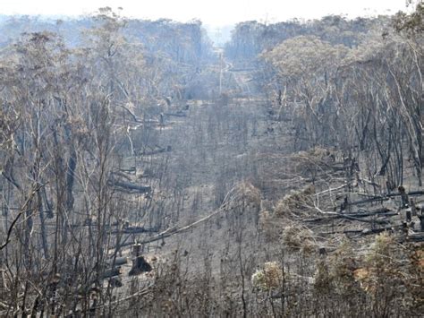 Rekordhitze in Australien erschwert Löschen der Buschbrände SN at