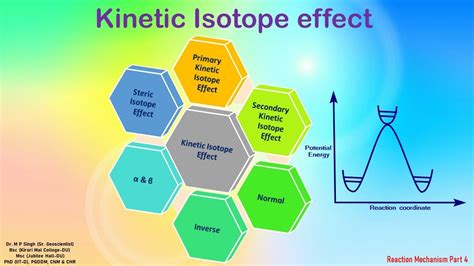 Kinetic Isotope Effect Primary Secondary Normal Inverse Steric