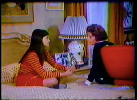 CHADWICK FAMILY, THE (TV), 1974 DVD: modcinema*