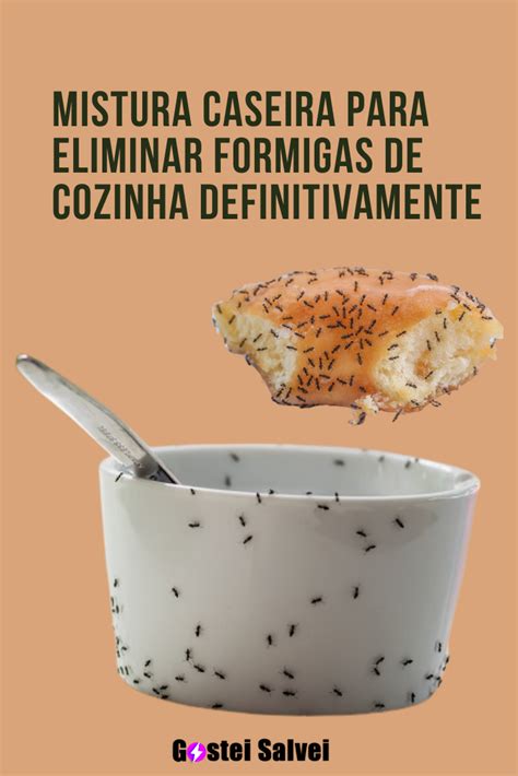 Mistura Caseira Para Eliminar Formigas De Cozinha Definitivamente