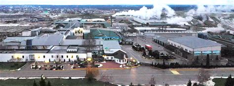 О компании – Dipriz