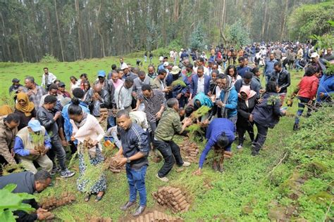 GGGI Joined Ethiopia Green Legacy Campaign To Plant 200 Million Tree