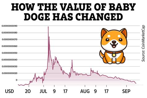 Baby Doge Coin price prediction 2021: Can the cryptocurrency reach $1? | The US Sun