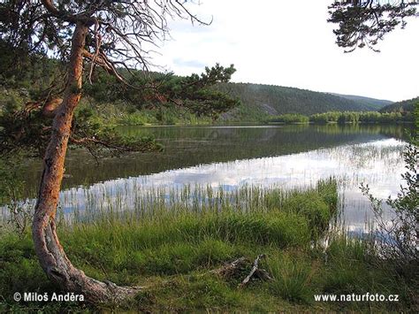 Somija Fotogrāfijas, Bildes