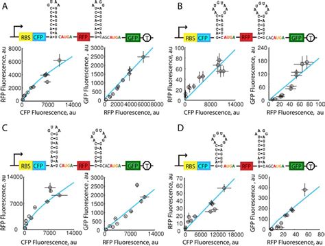 Expression Measurements Of Tri Cistronic Operons The Intergenic